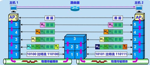 計算機網絡設計成果轉讓 法律保護與商業實踐